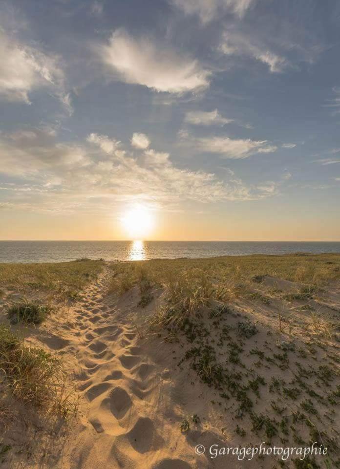 Moliets Plage Appartement Pour 4 Piscine Proche Plage Et Commerces Eksteriør bilde